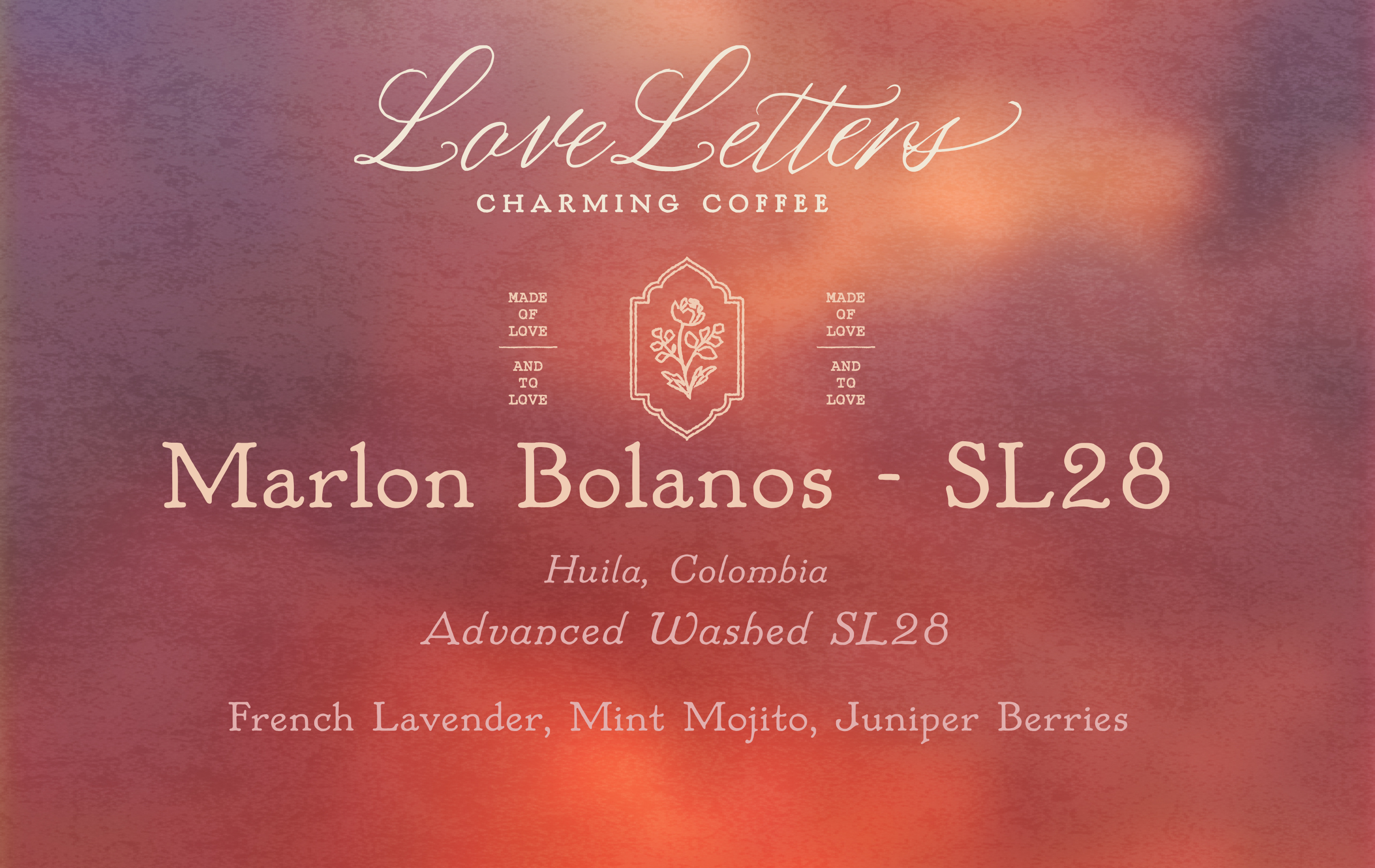 Marlon Bolaños - SL28 Adv Washed