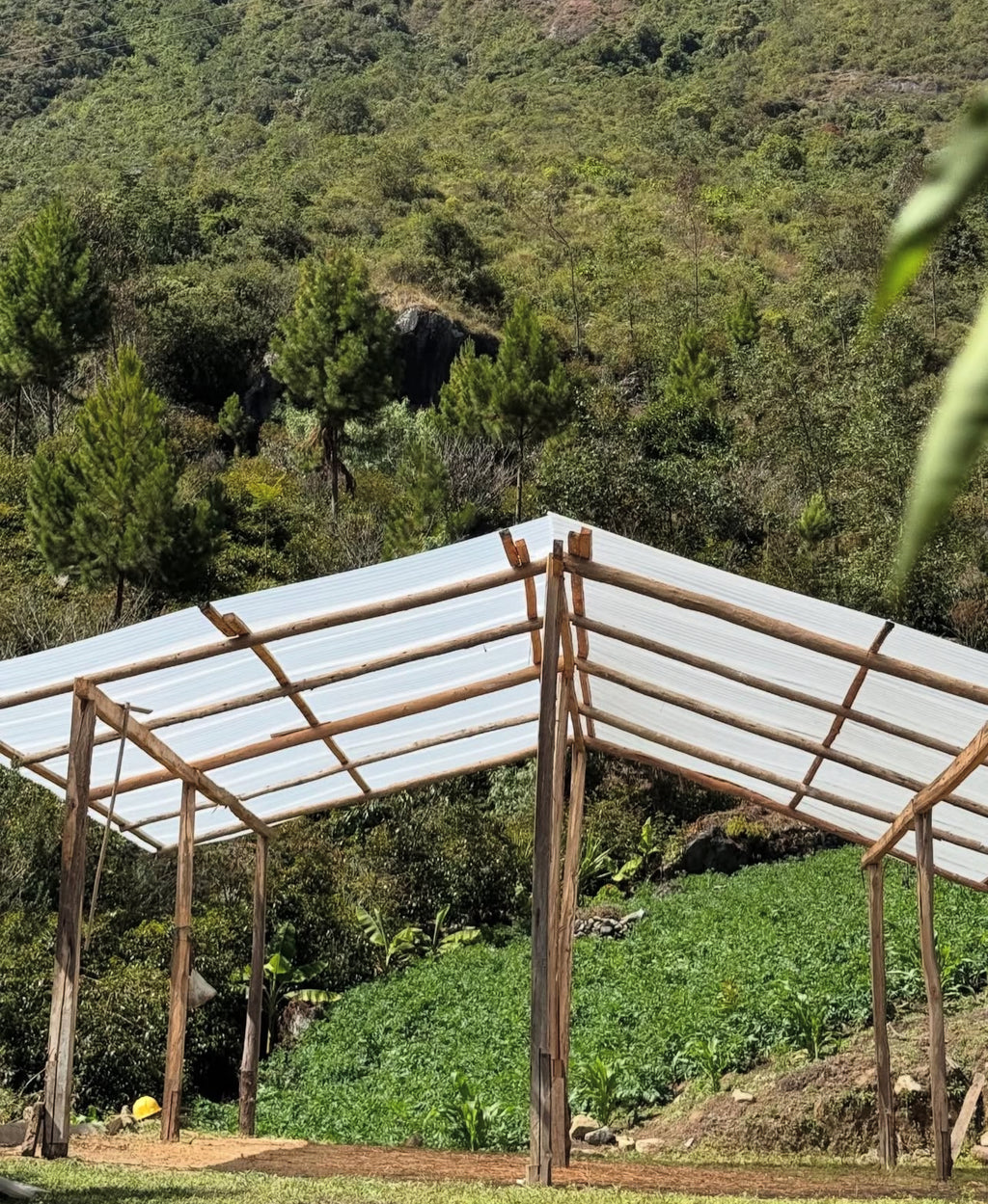 Oswaldo Ore - Qillu Rumi, Peru SL9 120g