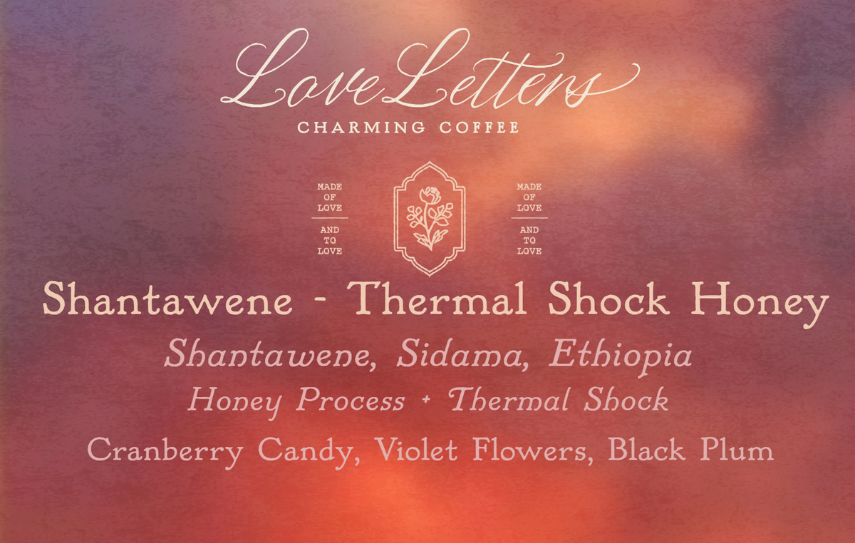 Taste of Harvest Winner - Thermal Shock Honey Shantawene - Ethiopia