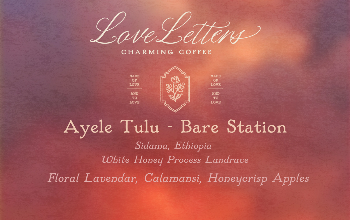Ayele Tulu - Bare Station - White Honey Process Landrace Ethiopia - 120g